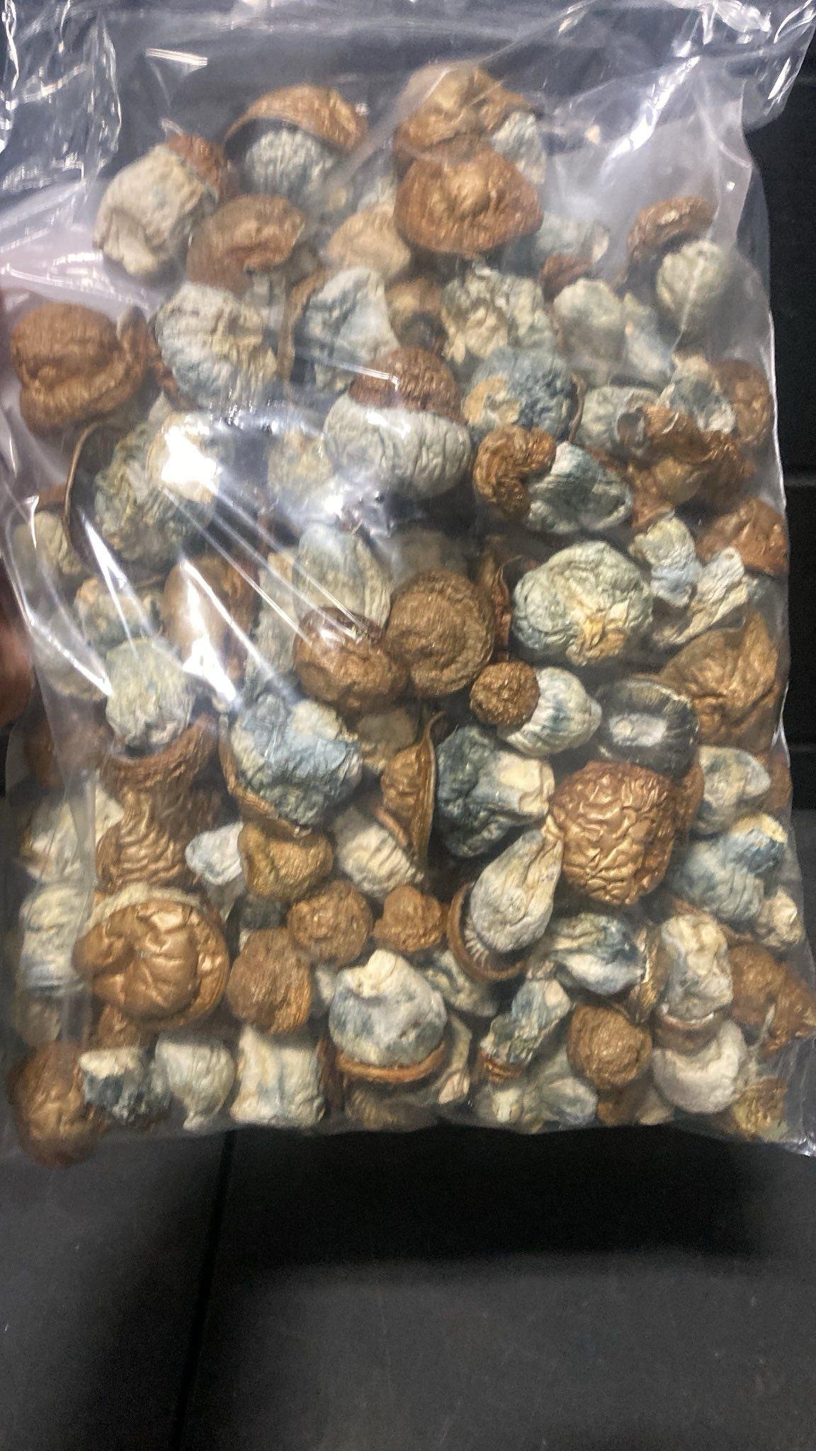 Dino Eggs